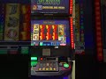 A couple good Wins playing Big City 5’s & The Wild Life slots Game.