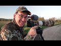 BIRD PHOTOGRAPHY VLOG:  Photographing the Bobolink, the bird that sounds like R2-D2!