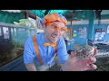 Blippi Belajar Tentang Bentuk dan Cara Membuat Gelembung Besar | Blippi Bahasa Indonesia