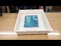 Bostick and Sullivan's Guide to Cyanotype Printing