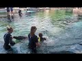 Dolphin Encounter Sea World San Antonio 2022