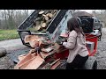 Splitting Huge Oak Rounds for Firewood Trying New Method