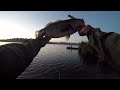 Fall Topwater = BIG BASS! SoCal bass fishing, Berkley Cane Walker