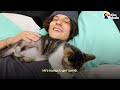 Feral Cat Does This And Wins Foster Dad Over | The Dodo