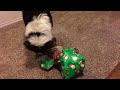 Winston opening his present.