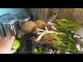 HOW WE GET OUR FOOD - LIVING OVERSEAS!   Grocery store, market produce, rice/water storage & filter!