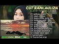 CUT RANI -  SALAHMU SENDIRI | RINDU TAPI MALU | SALAHMU SENDIRI || LAGU POP  MELAYU TANPA IKLAN