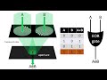 Making Optical Logic Gates using Interference