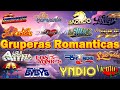 Gruperas Romanticas del Ayer y Hoy ~ Bronco, Bryndis, Los Bukis, Temerarios, Liberacion, Yonics,