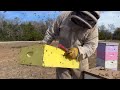 Unwrapping an Abandoned Hive - First inspection in Years - How are the Honey Bees?