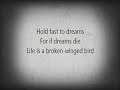 Langston Hughes Best Poem Dreams