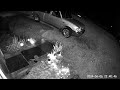 Cat sneaks around to get into fenced yard and chases an opossum.