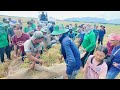 Dân biên giới Campuchia bức xúc máy cắt không xả cù tham hốt trọn ổ chuột bằng dớn bắt cá