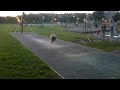 Camilla on slide at a park in Edinburgh.MTS