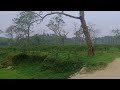 সিলেটের একটি নামিদামি চা বাগান  || Tea garden in sylhet
