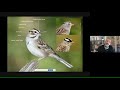 LIVE Online: Solving Sparrows with Bryan Pfeiffer