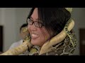 The Top Deadliest Snakes Found In Asia | Snakes Documentary