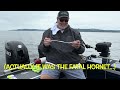 Puget Sound Salmon Fishing | We Got Seal’d! | Bonus: Trolling Gear Breakdown