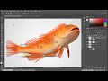 Photo Manipulation in Photoshop | Orange and Fish