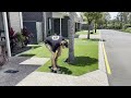 I bought a CYLINDER MOWER || Taking the Zoysia to the next level