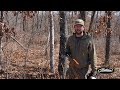 Killing Oak, Walnut & Persimmons?!? | Hack & Squirt Timber Management