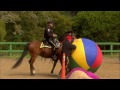 Police Horse Training | Extraordinary Animals | BBC Earth