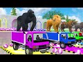 Paint & Animals Duck,Gorilla,Lion,Elephant,Cow,Sheep Fountain Crossing Transformation Animal Cartoon