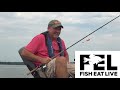 How to use a Slip Bobber to catch Summer Crappie with KENT DRISCOLL! Fish Eat Live