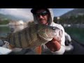 A Pesca dei PERSICI GIGANTI del lago d'Orta - Monster Perch Secrets