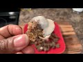 How to  make Tender chicken Gizzards