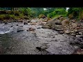 Relaxing river sounds, white noise for sleep, insomnia, meditation and study
