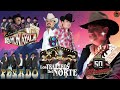 Los Huracanes del Norte, Los Dos Carnales, Ramón Ayala, Grupo Pesado, Los Traileros Del Norte