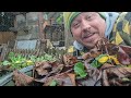 Why Do Plants Go Dormant? - Garden Quickie Episode 182