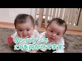 はづ♡ゆづ双子赤ちゃん可愛い癒し動画