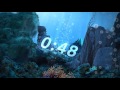 5 Minute Countdown - Underwater