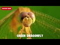 Macro Photography using Smart Phone | Dragonfly & Other Insects