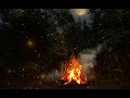 ✨Campfire Under the Starry Forest✨ 3 HOURS Campfire Ambience