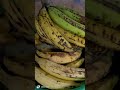 pisang tanduk memang sangat di minati byk orang karena .rasanya ya khas......