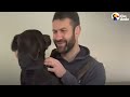 Shaking Shelter Dog Covers Her Foster Dad's Face With Kisses | The Dodo Foster Diaries