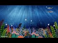 Animated Underwater Music Video🐠 | Ebibleclub Music 🎶 🎵 #ebibleclubmusic #underwater #animated