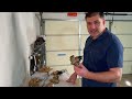Pressure Reducing Valves Explained - How to Replace a Pressure Regulator or Adjust Water Pressure