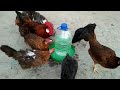 Homemade Easy & Simple PLASTIC Water Feeder Tank \\ Automatic Chicken Drink Water || 3MB Vlogs