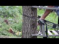 The Ultimate Climbing Treestand