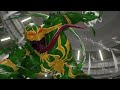 Hulk Green Venom vs. Red Hulk Carnage Fight - Marvel vs Capcom Infinite PS4 Gameplay