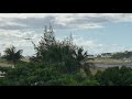 KLM Airbus A330 Arrival in St. Maarten