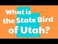 Utah for Kids | US States Learning Video