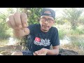 Tutorial Mancing Ikan Yang Benar