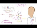 Why did John F Kennedy (JFK) develop darkened skin? | Understand Pathophysiology | Ever Wonder Why?