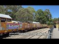 VR Liveried X31 & C501 on 7 Loco 7AM9! - Rare Action in The Hills