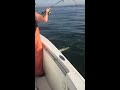 Striped bass fishing with brian